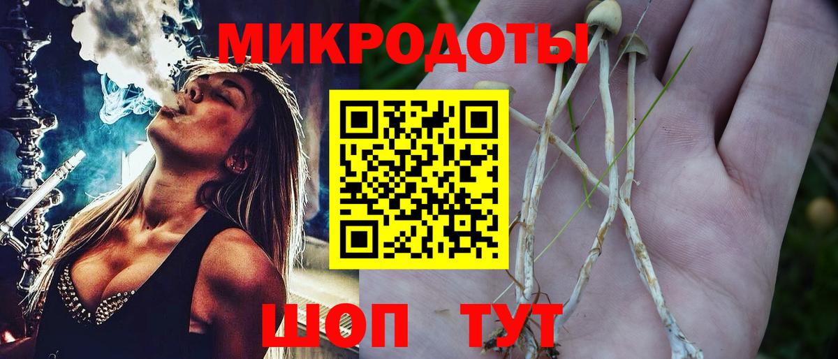 Псилоцибиновые грибы прущие грибы Сертолово