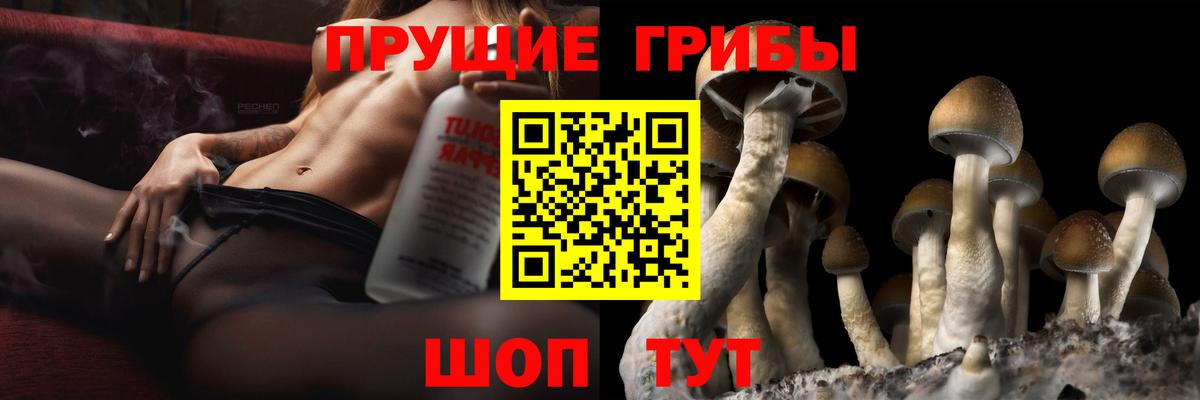 Галлюциногенные грибы Psilocybe  Вход с VPN  Псилоцибиновые грибы мицелий  Сертолово 